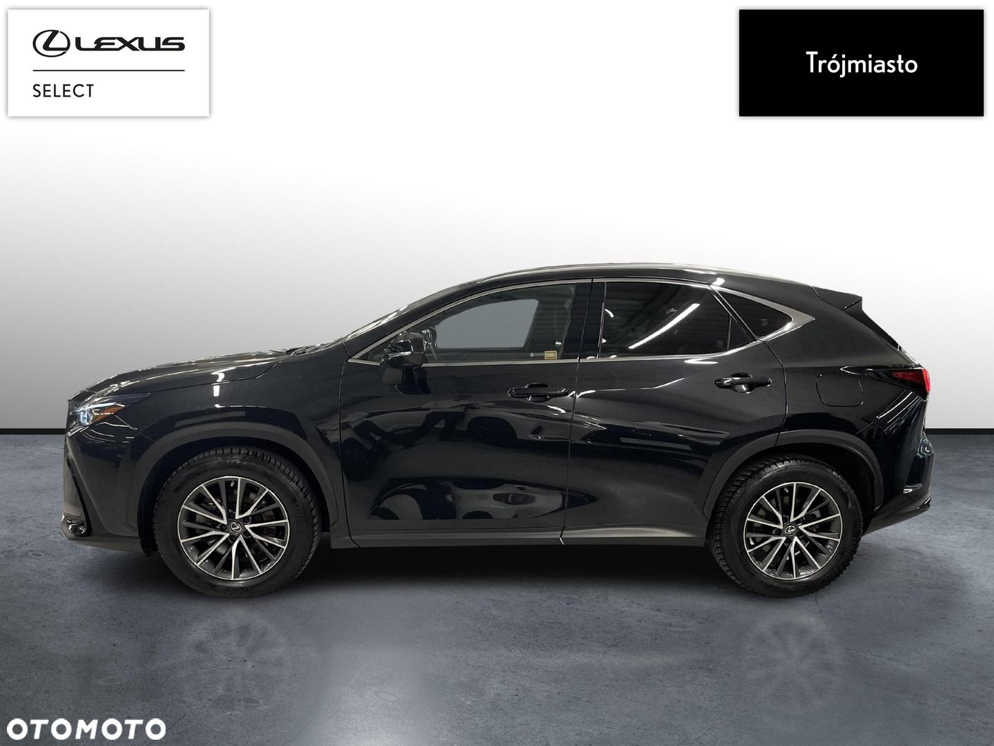 Lexus NX - 9