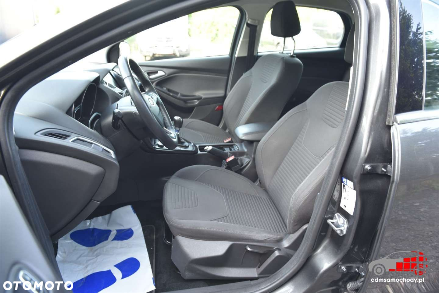 Ford Focus - 13