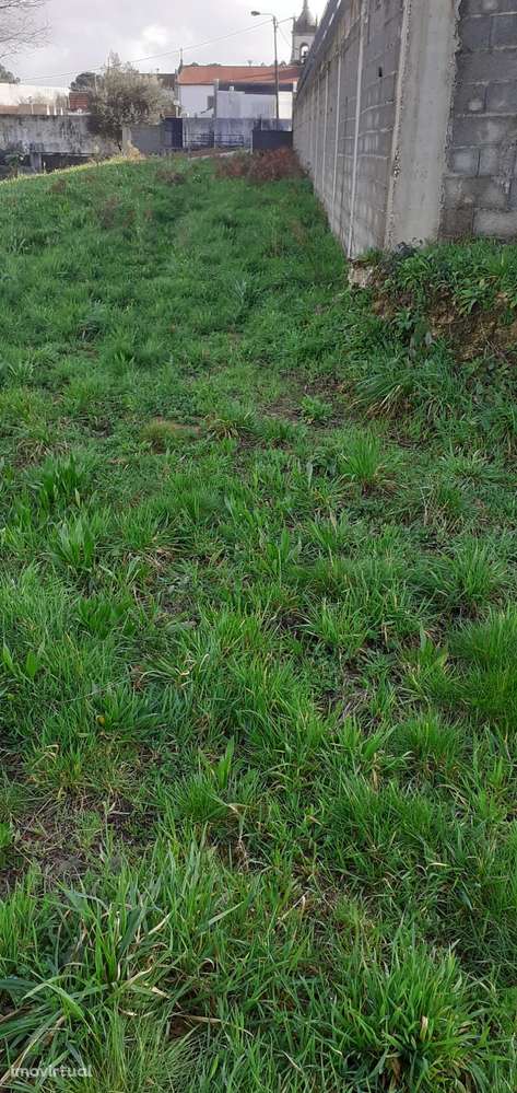 Terreno urbano nas Caldas de S. Jorge - Grande imagem: 4/15