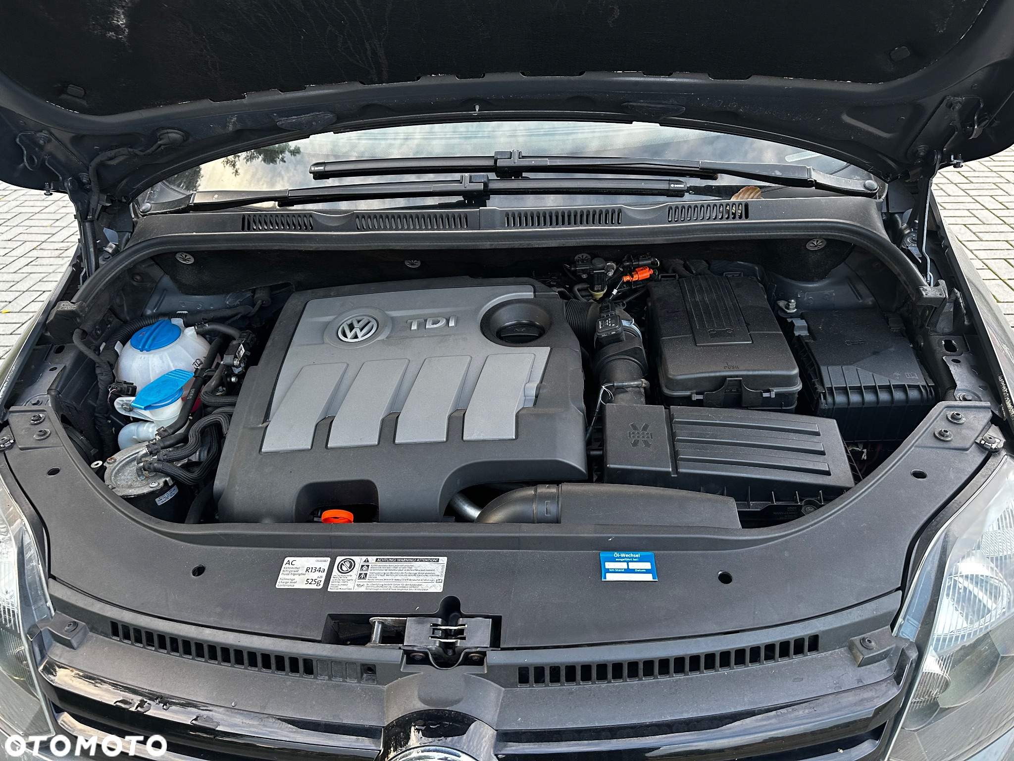 Volkswagen Golf Plus 1.6 TDI BlueMot Comfortline - 36
