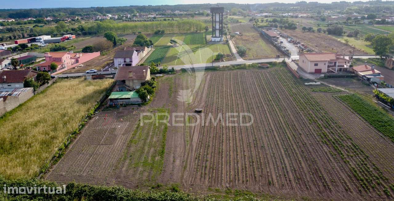 Lote em Bolho (com 2032 m2 ), Cantanhede - Grande imagem: 3/10