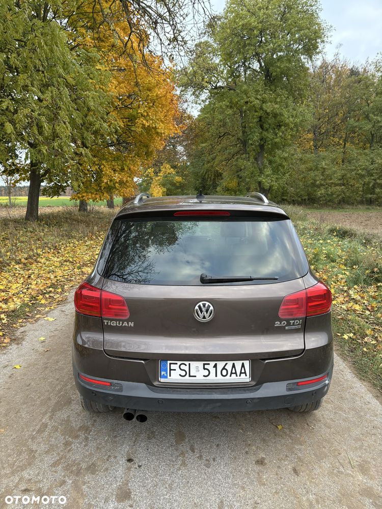 Volkswagen Tiguan - 6