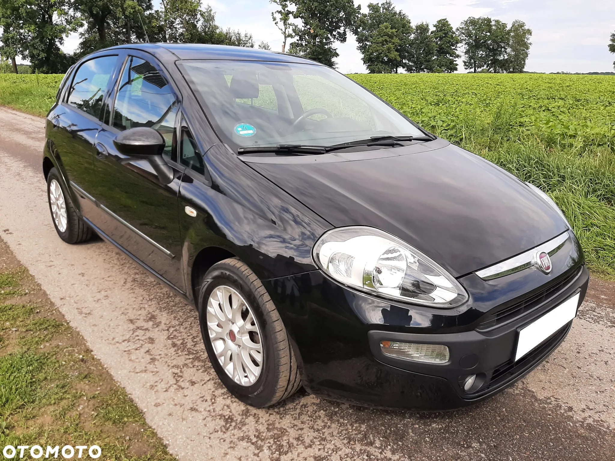 Fiat Punto Evo 1.4 8V Dynamic - 2