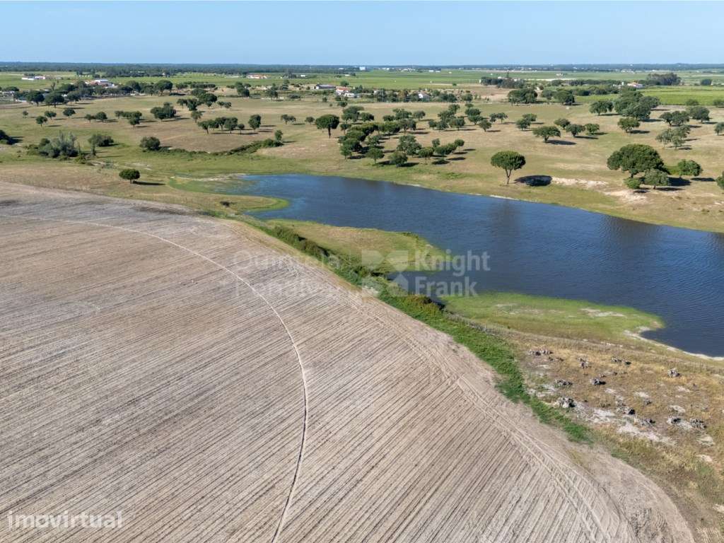 Terreno com 79 ha com viabilidade de construção em Palmela - Grande imagem: 3/25