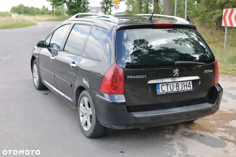 Peugeot 307 2.0 Mistral - 7