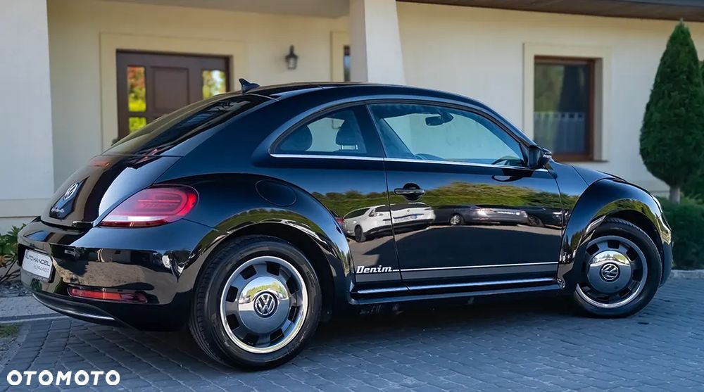 Volkswagen Beetle - 10