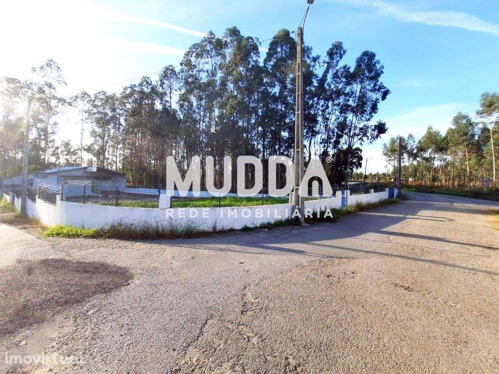 Armazém e atividade industrial - Grande imagem: 2/12