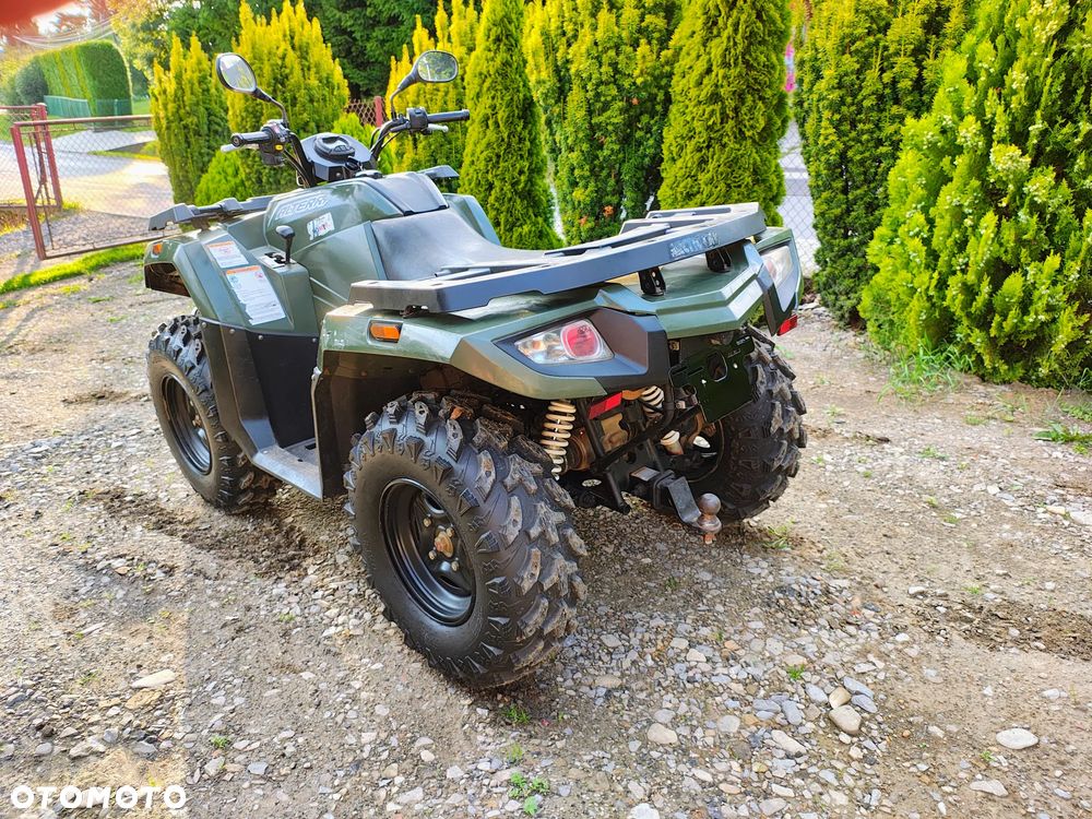 Arctic Cat Inny