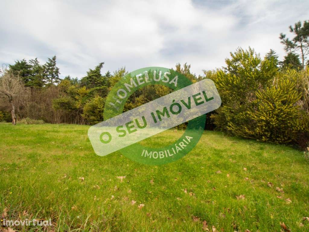 Lote de Terreno - Grande imagem: 3/18