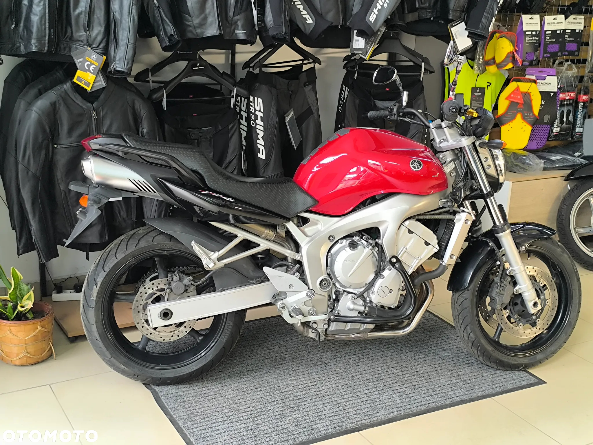 Yamaha FZ6 - 2