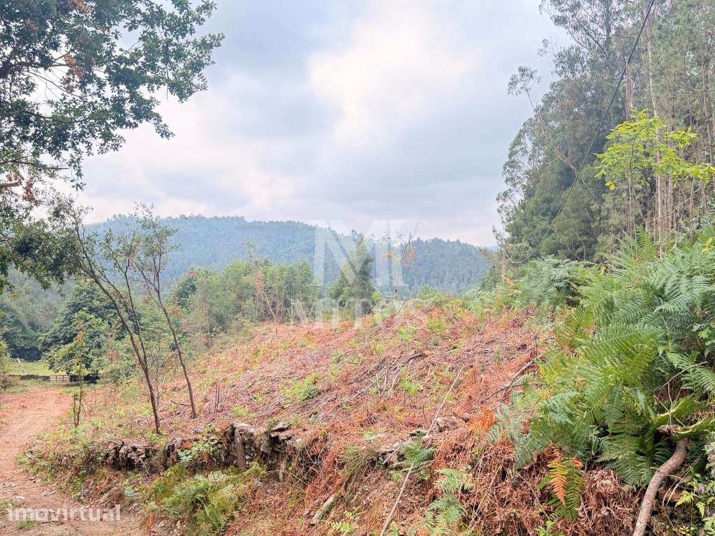 Terreno para construção - Orbacém - Grande imagem: 2/12