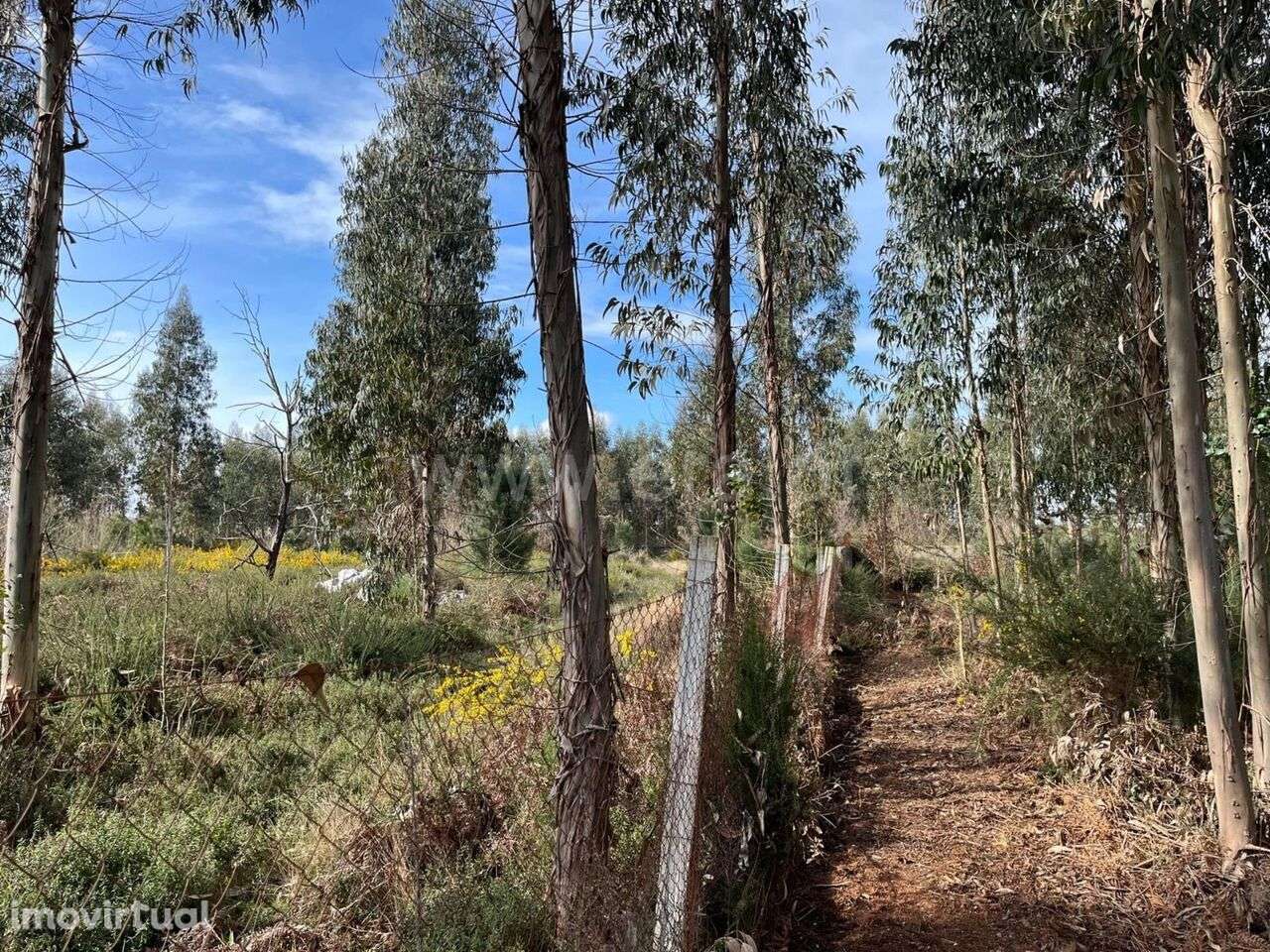 Terreno / Seia, Tourais e Lajes - Grande imagem: 2/11