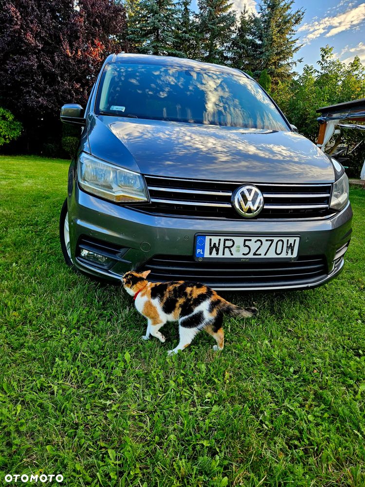 Volkswagen Caddy Maxi 2.0 TDI Comfortline DSG - 24