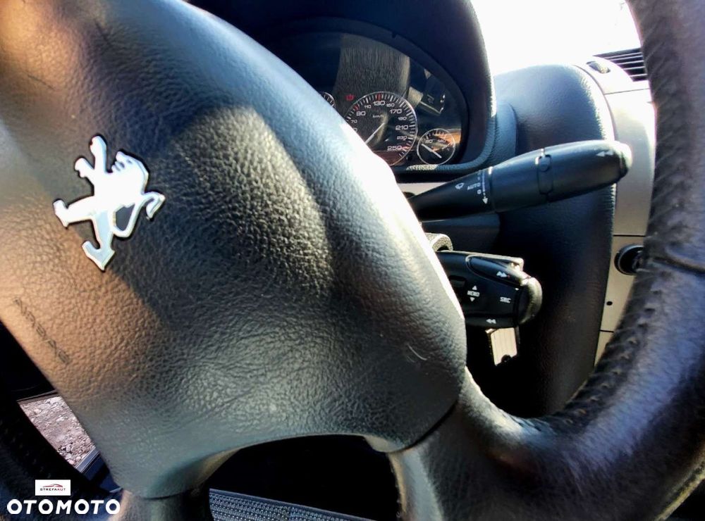 Peugeot 407 - 22