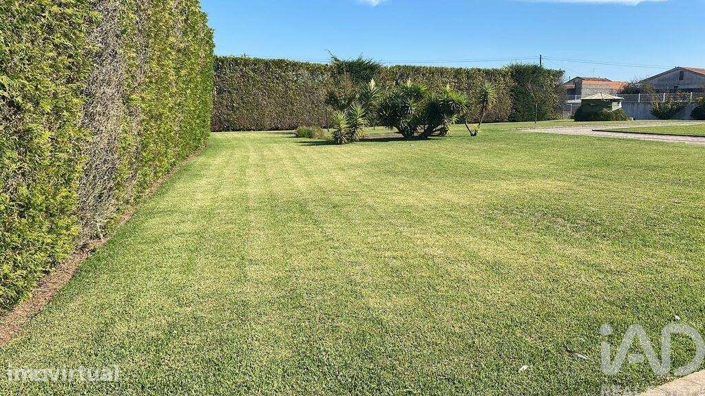 Moradia isolada T4 em Apúlia e Fão de 554,6 m2 - Grande imagem: 3/8