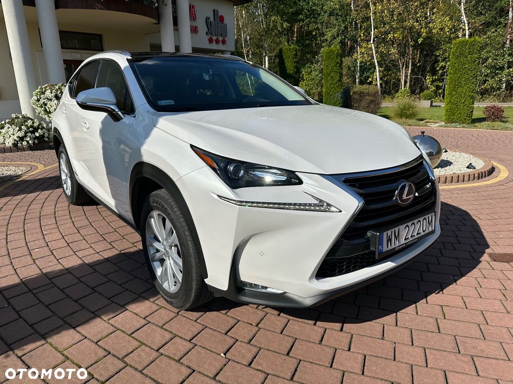 Lexus NX - 2