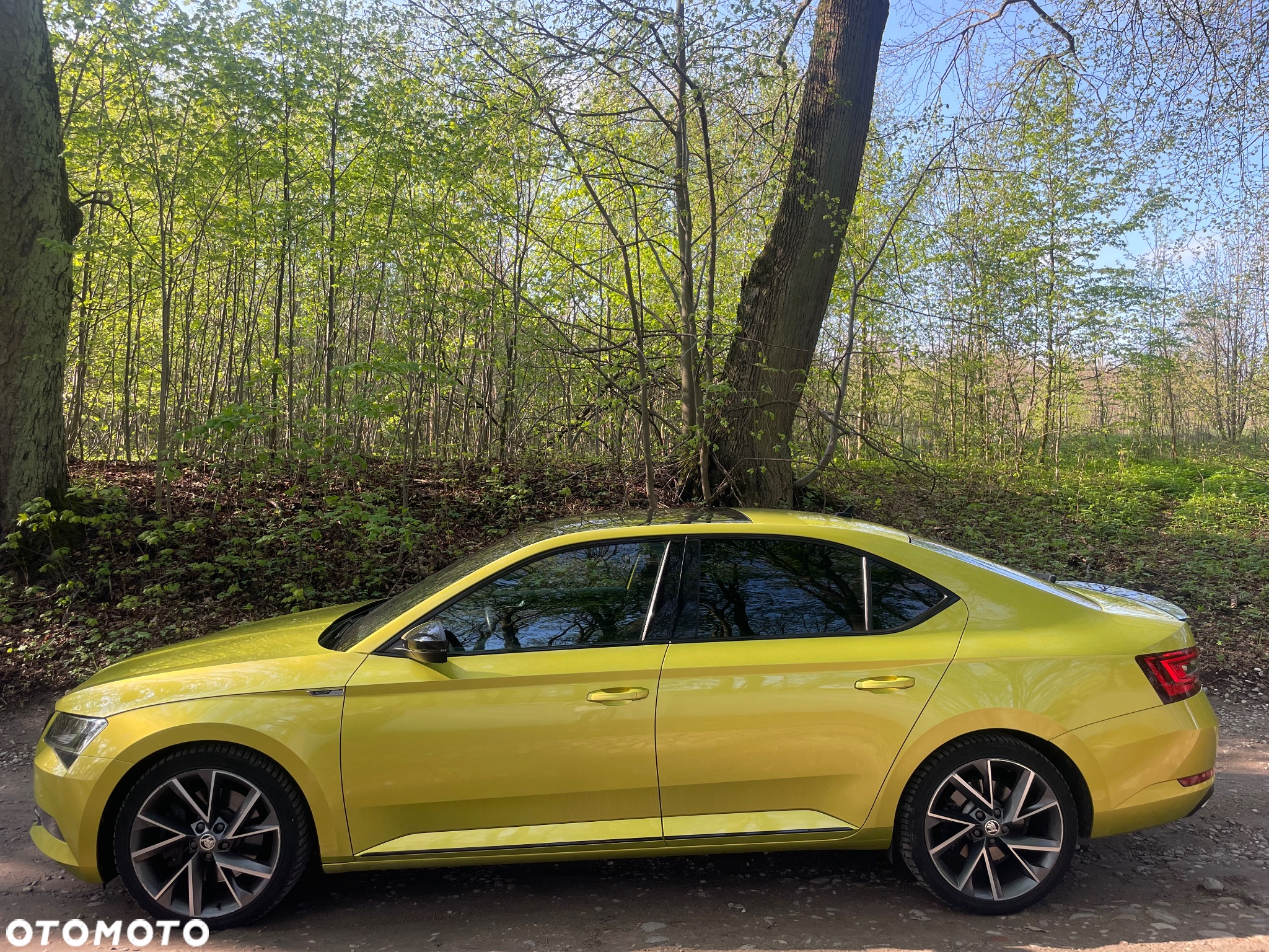 Skoda Superb 2.0 TSI 4x4 Sportline DSG - 7