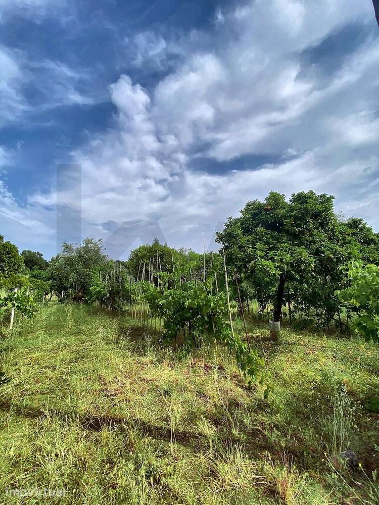 Terreno com potencial na Mainça - Grande imagem: 2/2