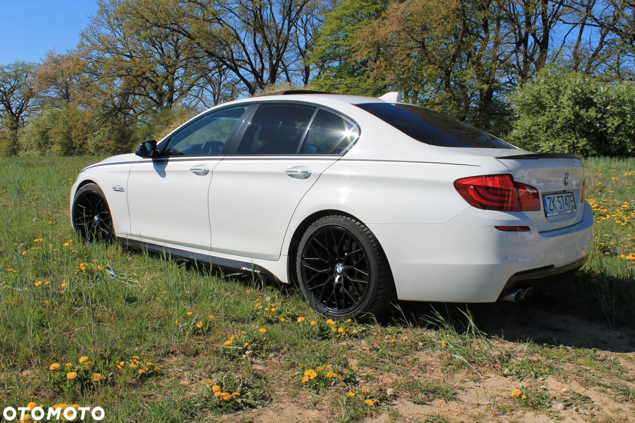 BMW Seria 5 530d xDrive - 15