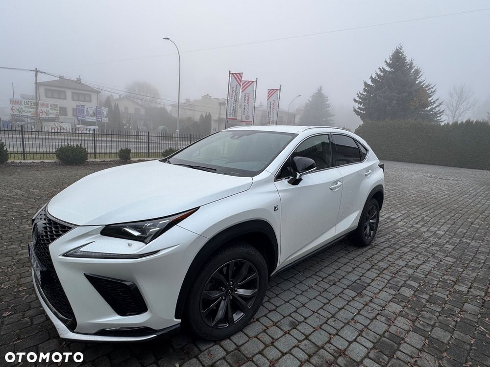 Lexus NX 300 GPF F Sport AWD - 14