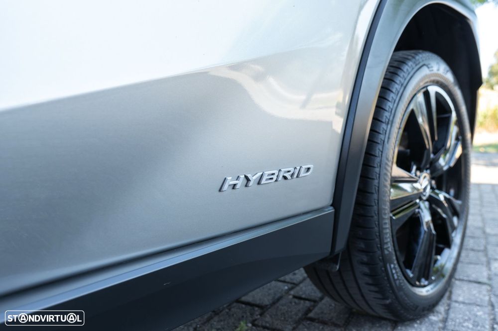 Lexus UX Special Edition (LCA) — fotografia 30
