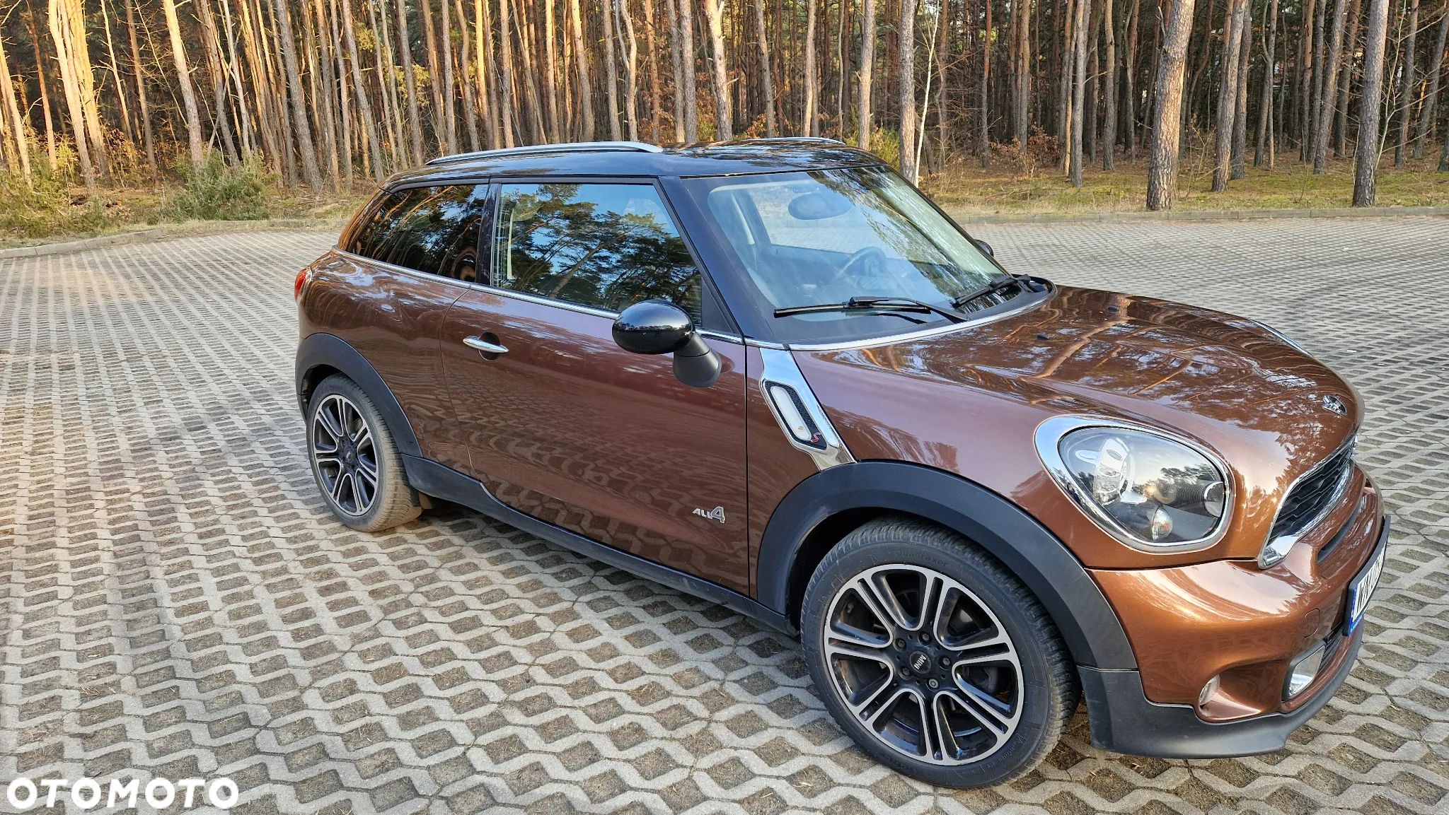 MINI Paceman - 10