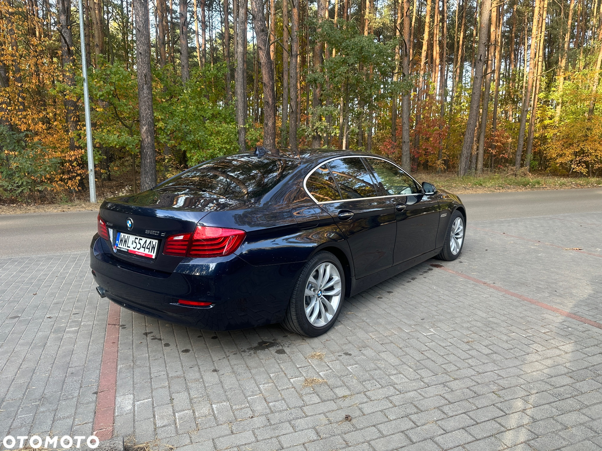 BMW Seria 5 520d xDrive - 6