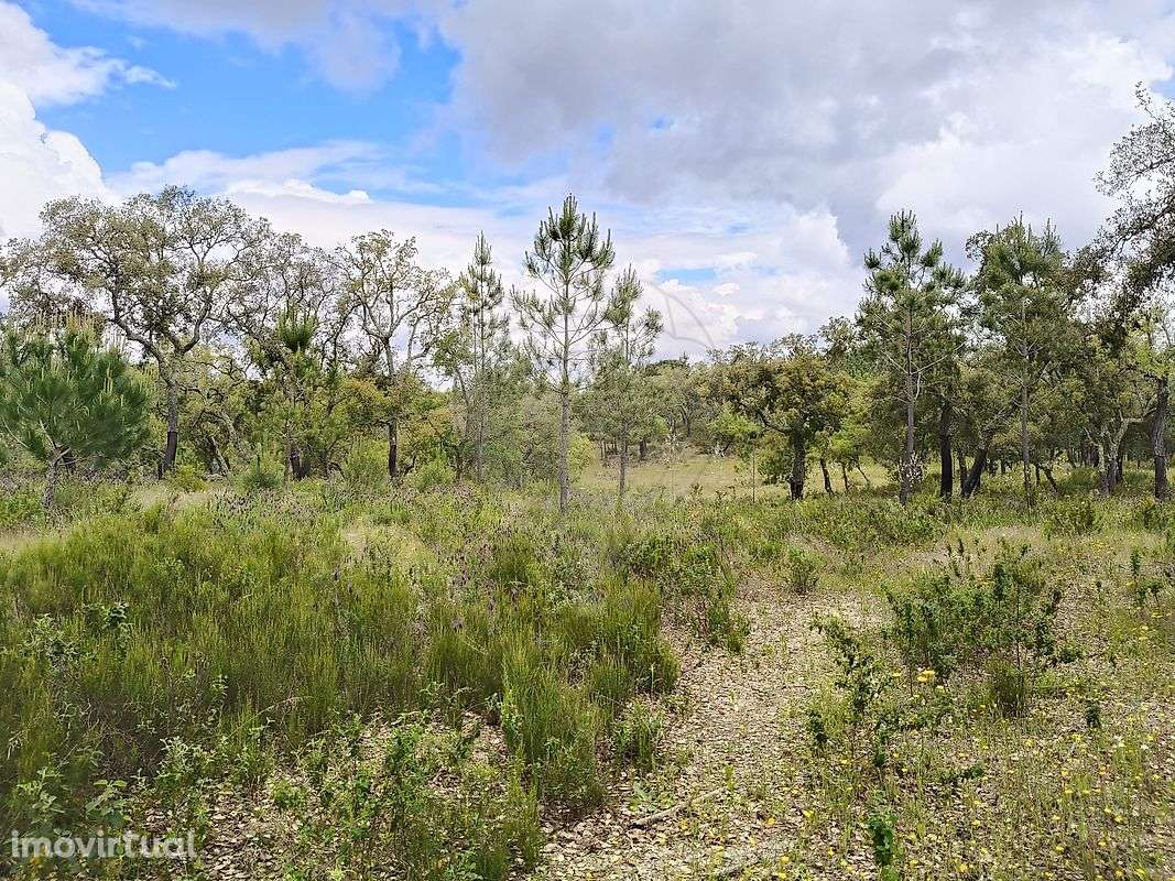 Terreno  para venda - Grande imagem: 2/15