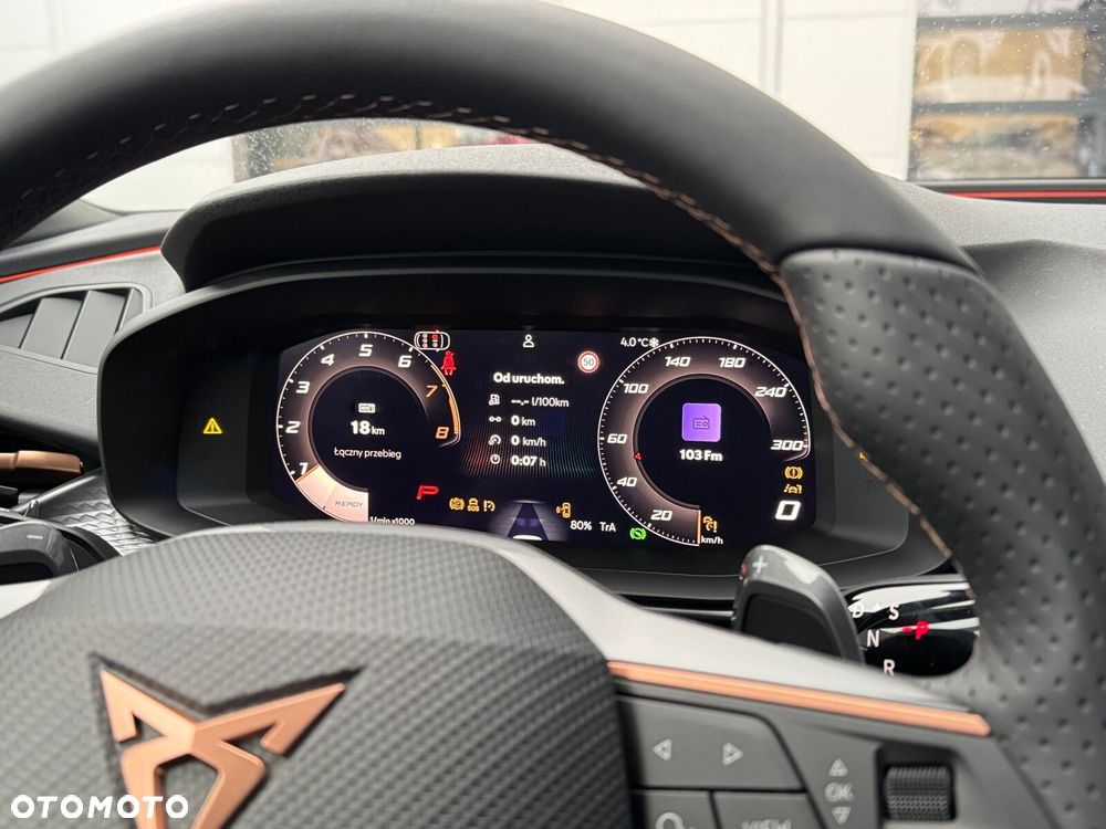 Cupra Terramar 2.0 TSI 4Drive DSG - 26