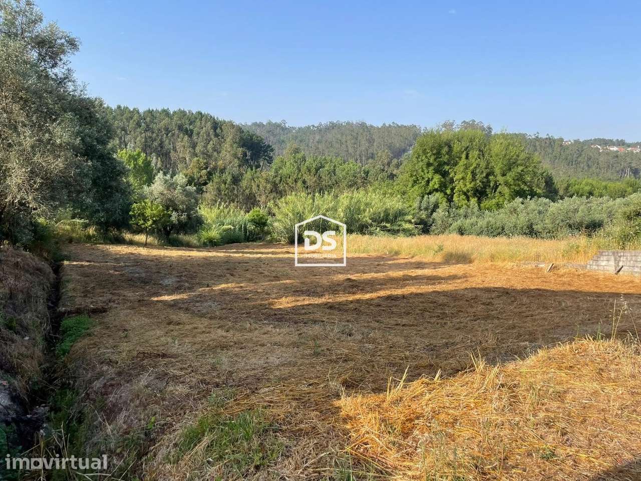 Terreno  Venda em Carnide,Pombal - Grande imagem: 5/7