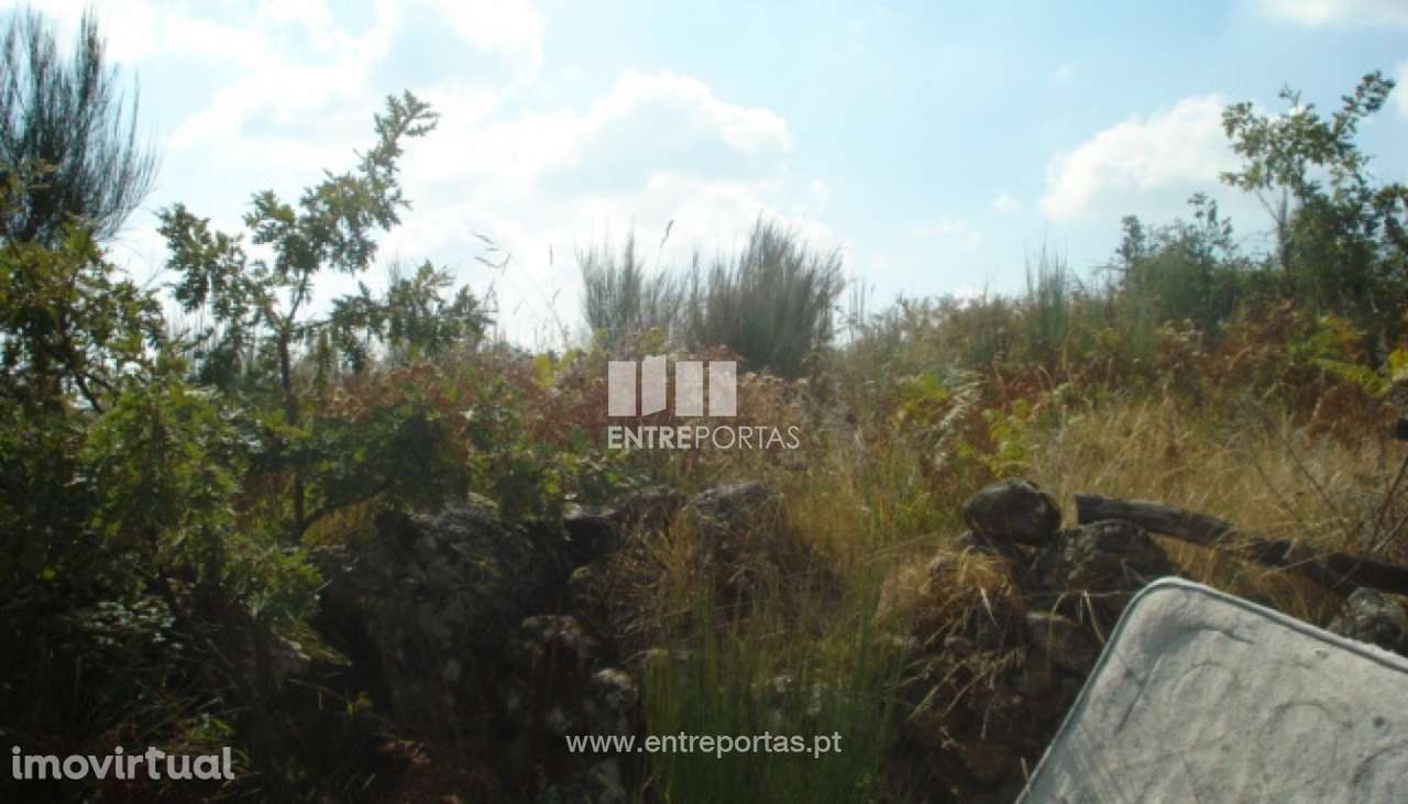 Venda Terreno, Gestaçô, Baião - Grande imagem: 4/4