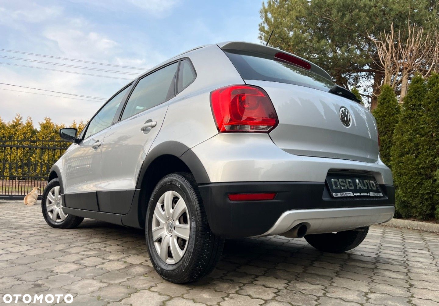 Volkswagen Polo Cross - 12