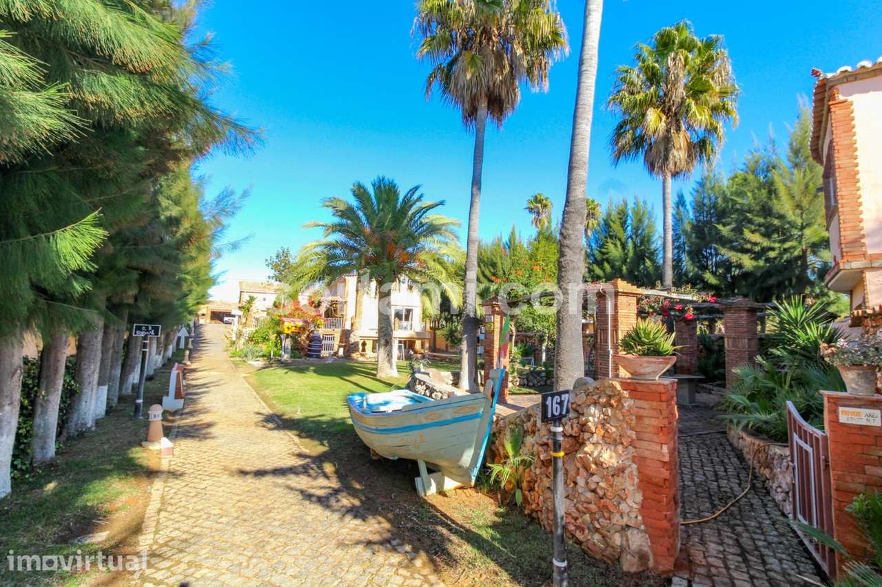 Quinta  Venda em Alcantarilha e Pêra,Silves - Grande imagem: 3/57