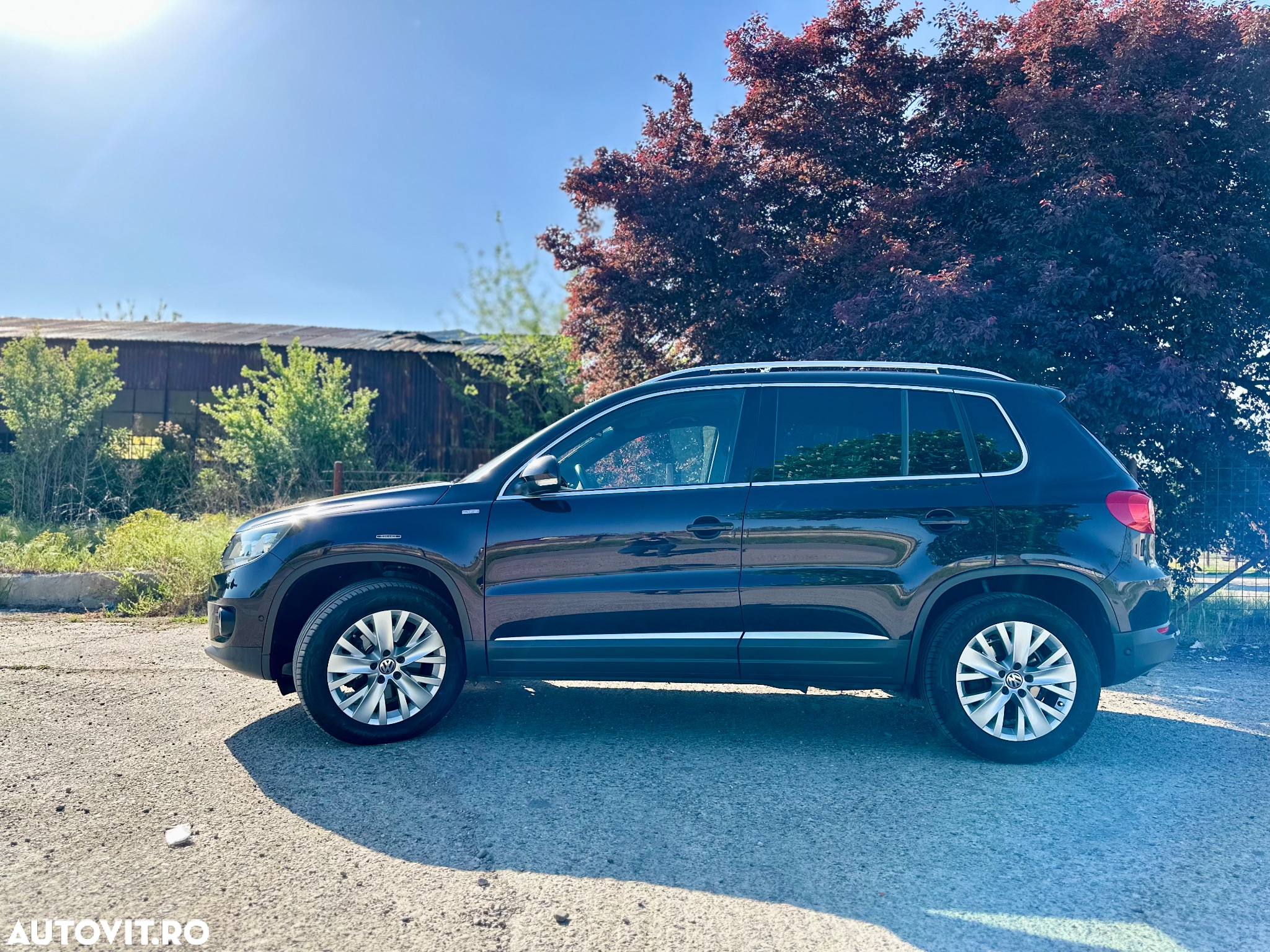 Volkswagen Tiguan 2.0 TDI 4Motion DSG Track & Field - 5