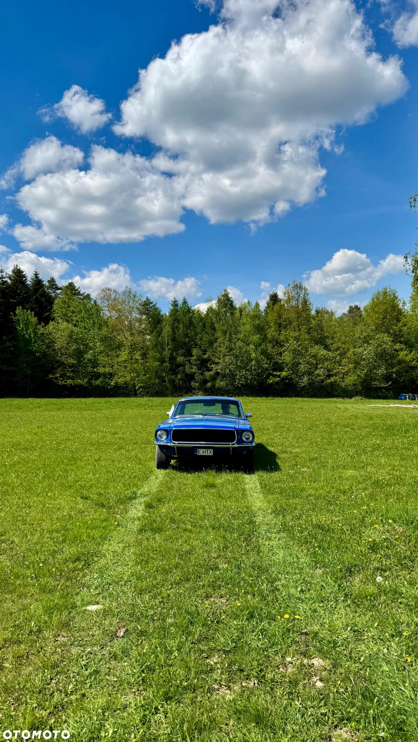Ford Mustang - 2
