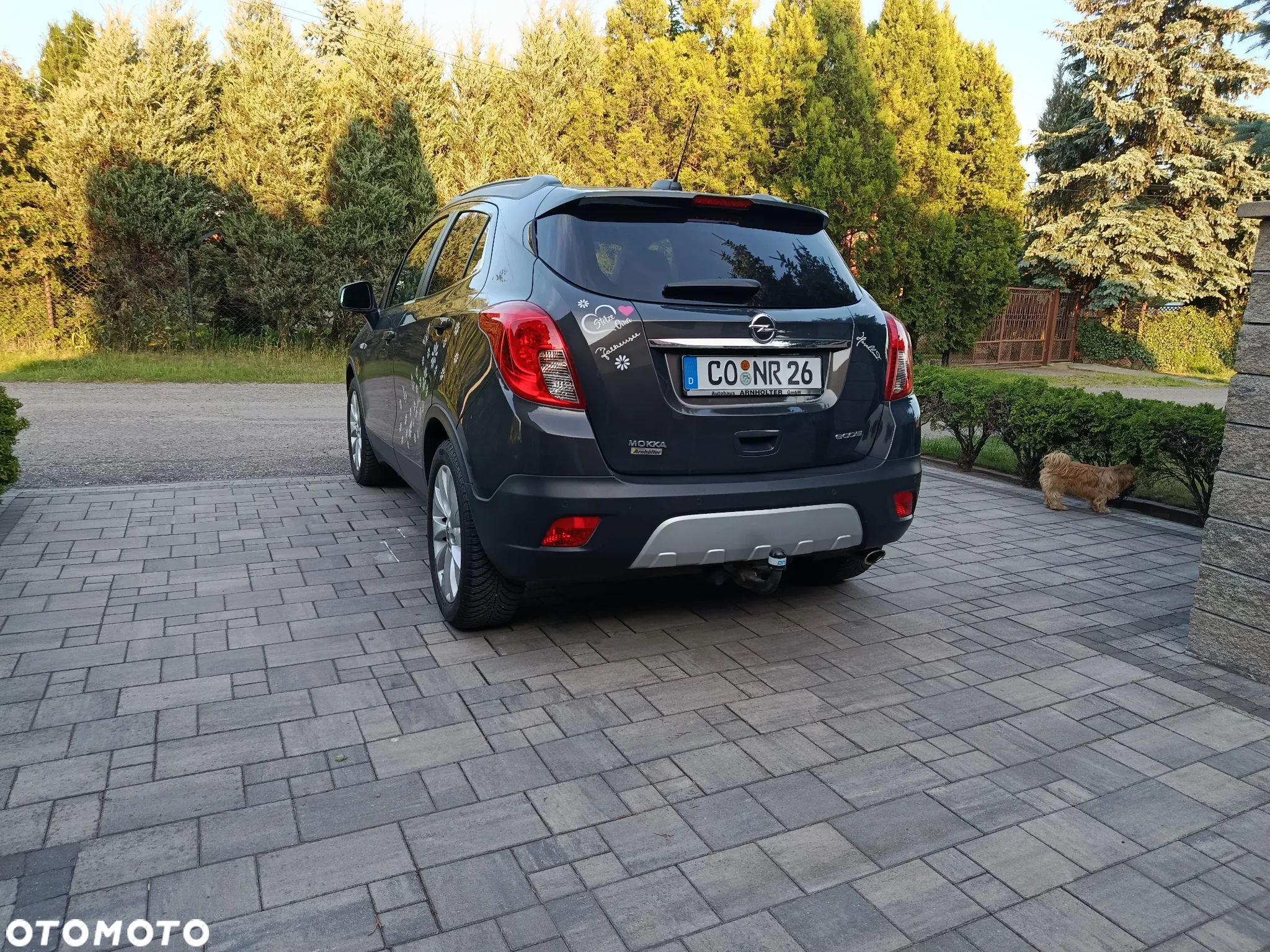 Opel Mokka 1.6 CDTI Cosmo S&S - 2