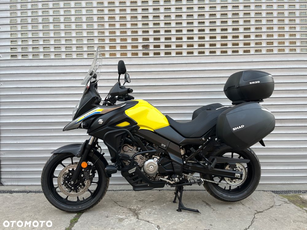 Suzuki DL - 33