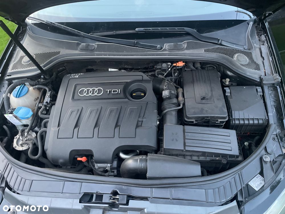 Audi A3 1.6 TDI DPF Attraction - 12