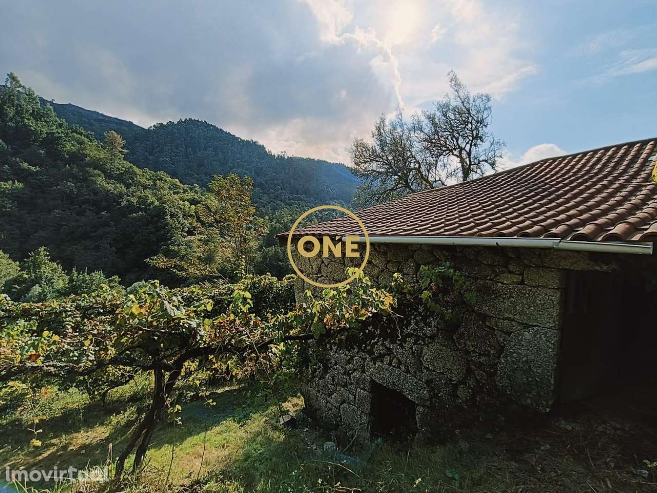 Terreno com Aprox: 10.000m2 - Grande imagem: 2/29