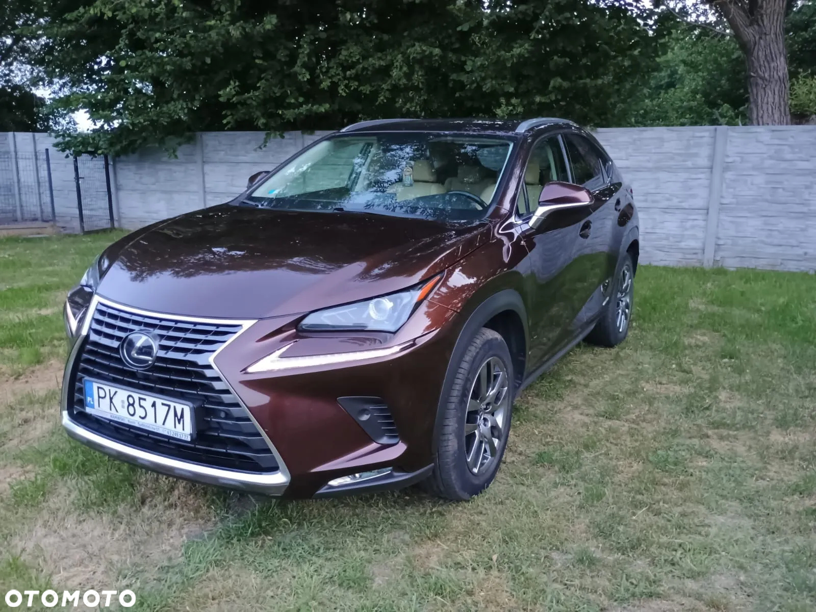 Lexus NX 300h Elegance AWD - 7