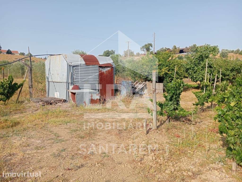 Terreno Rústico com 6.240 m² - Grande imagem: 5/13