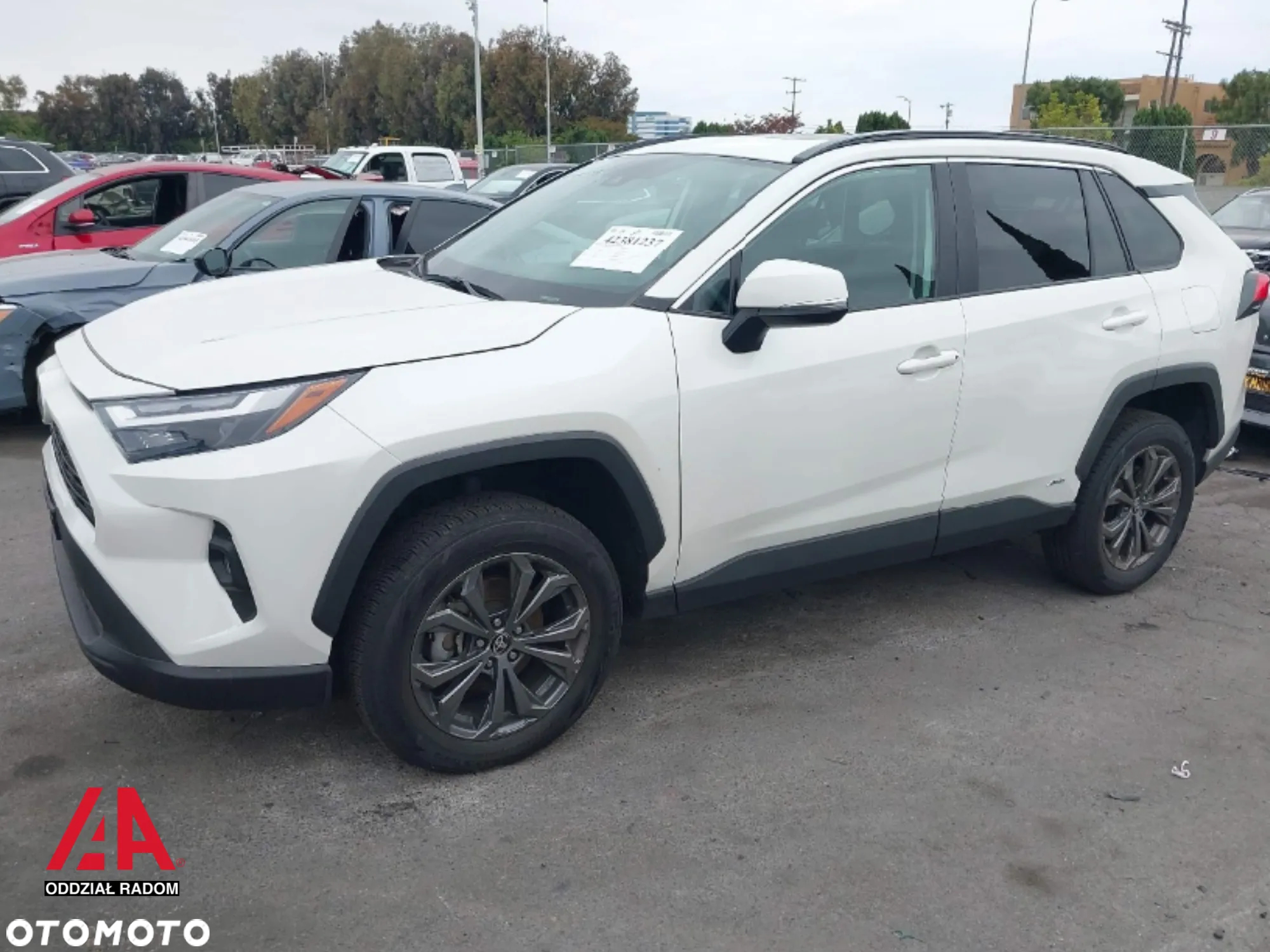 Toyota RAV4 2.0 Executive 4x4 MS - 2