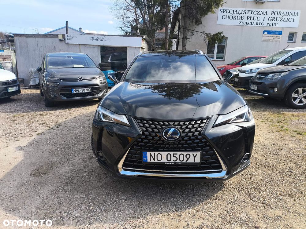 Lexus UX 250h Elegance 2WD - 2