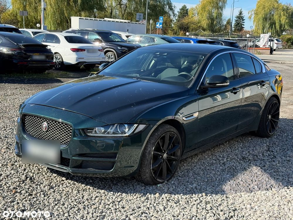 Jaguar Xe 2017 photo 3