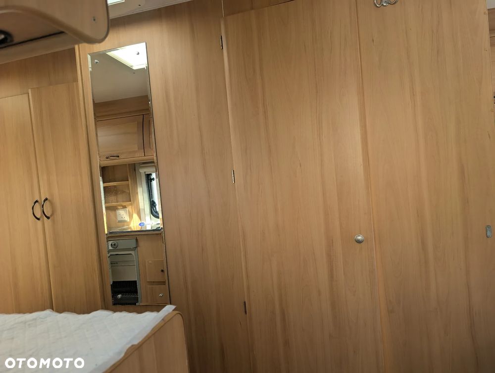 Avondale Argente - 8