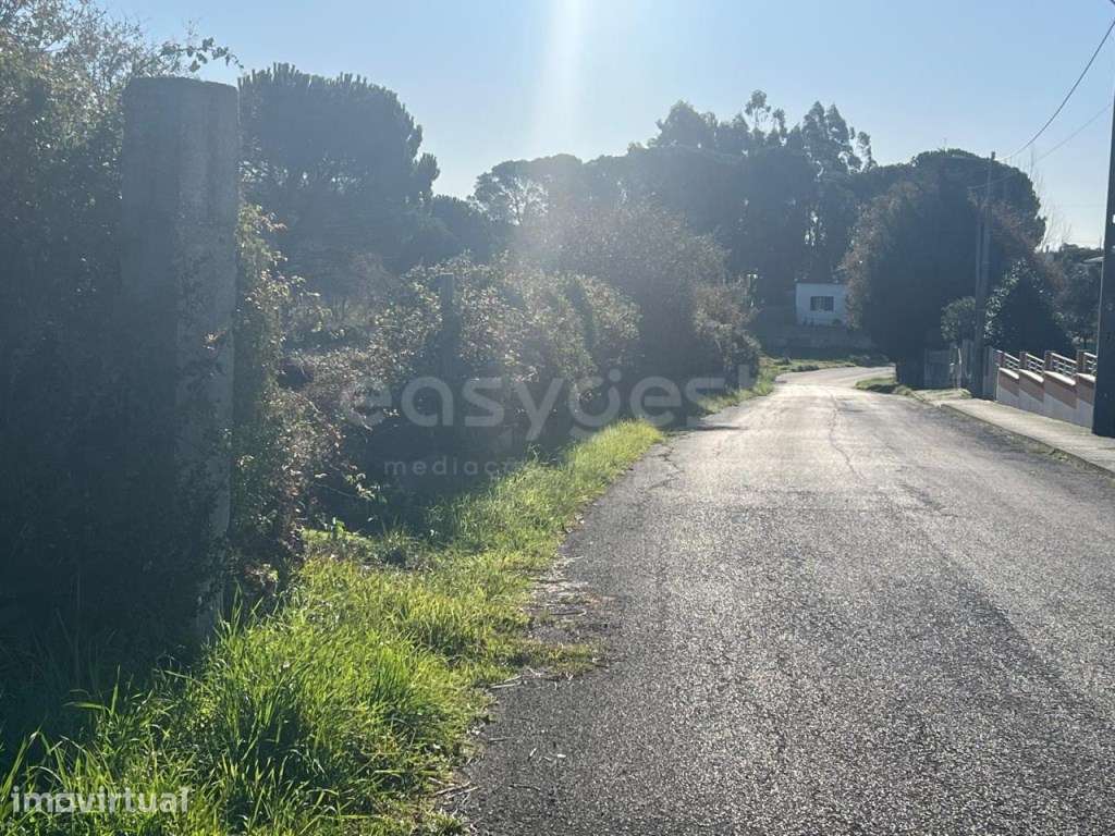 Terreno de Construçao em Monte Real - Grande imagem: 4/5