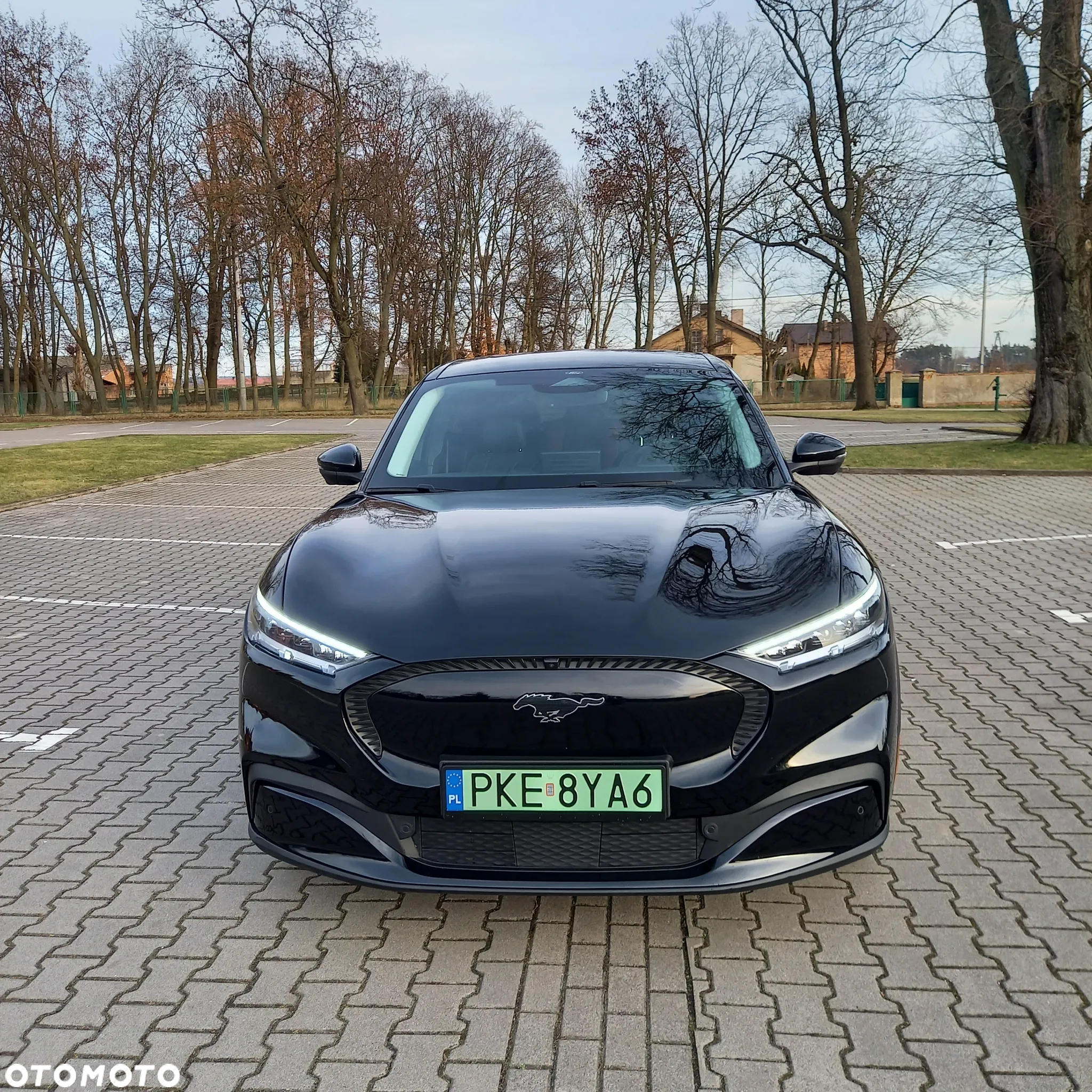 Ford Mustang Mach-E 98kWh RWD Premium - 4