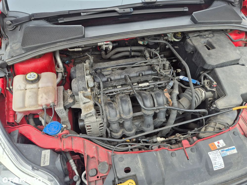 Ford Focus 1.6 TI-VCT Champions Edition - 26