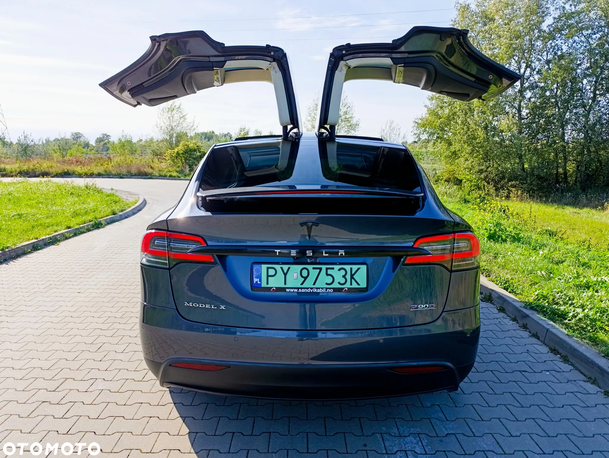 Tesla Model X Performance - 25