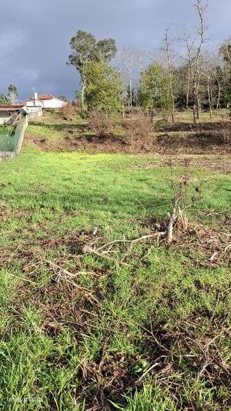 Terreno com 3500m2 em Coura - Grande imagem: 5/10